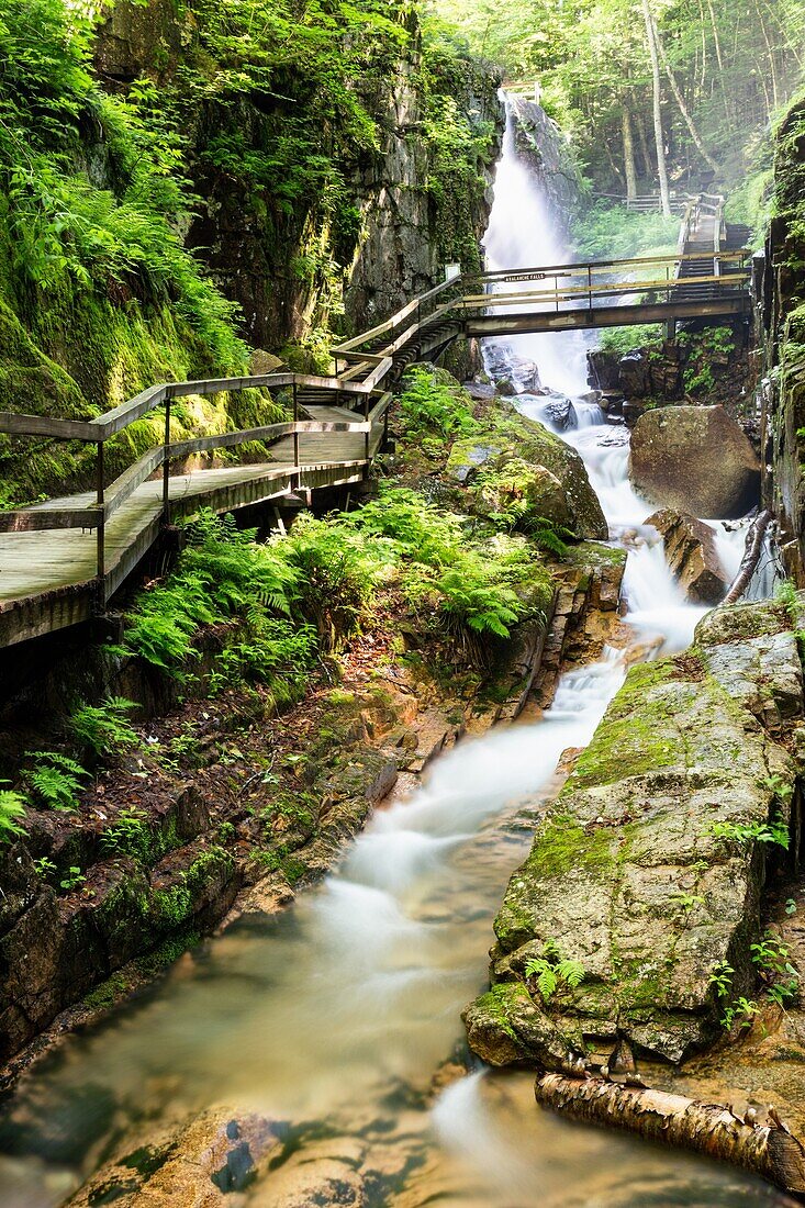 The Flume Gorge, Lincoln, New Hampshire.