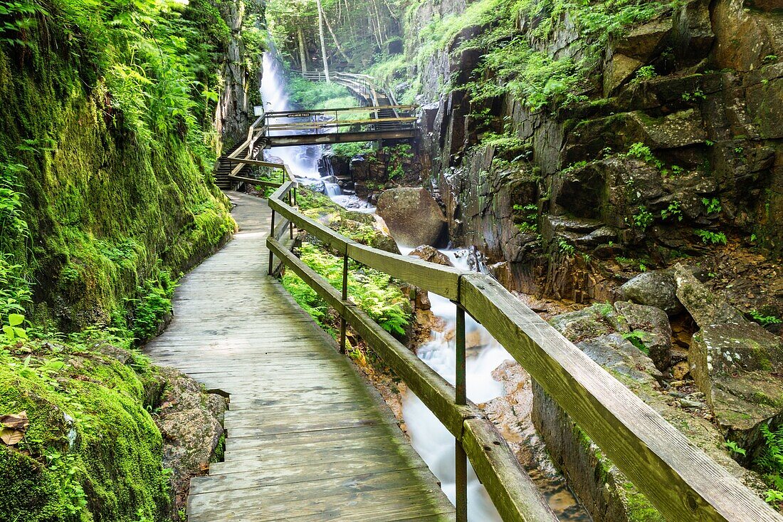 The Flume Gorge, Lincoln, New Hampshire.