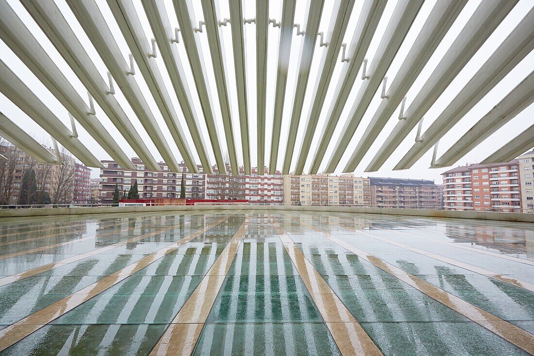 Palacio de Congresos (Konferenz- und Ausstellungszentrum), Konferenz- und Ausstellungszentrum, von Santiago Calatrava. Oviedo, Asturien, Spanien.