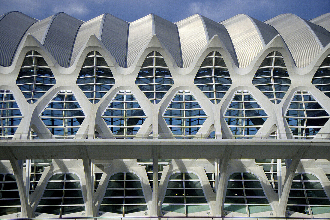 Science museum, City of arts and science, Valencia, Comunidad valenciana, Spain