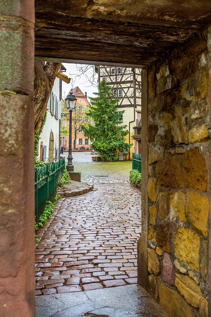 Colmar, Haut-Rhin, Alsace, France, Europe.