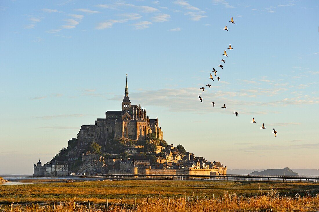 Mont-Saint-Michel bay, Manche department, Normandy region, France, Europe.