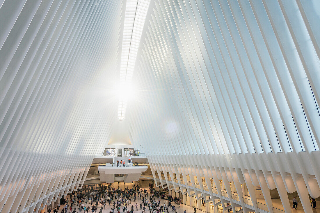 Sonnenaufgang innerhalb von the Oculus, futuristischer Bahnhof des Star Architekten Santiago Calatrava bei der World Trade Center Gedenkstätte, Manhattan, New York, USA, Vereinigte Staaten von Amerika