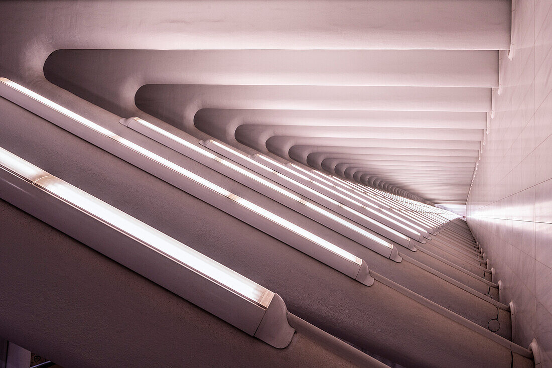 the Oculus, Detail der Rippen Tragwerkskonstruktion, futuristischer Bahnhof des Star Architekten Santiago Calatrava bei der World Trade Center Gedenkstätte, Manhattan, New York, USA, Vereinigte Staaten von Amerika
