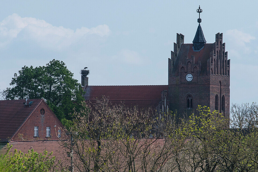 Gotische Kirche, Dorfkirche, Kirchturm mit Storchennest, Dorfkirche mit Weißstorch, Linum, Deutschland, Brandenburg
