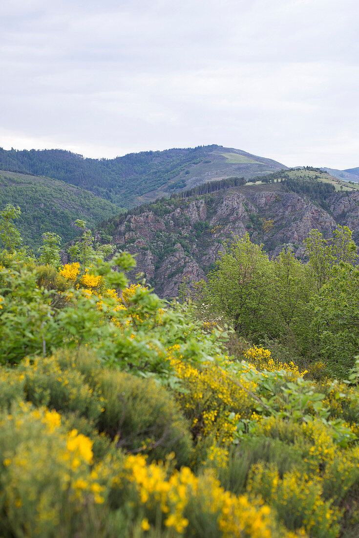 Landschaft um La Borie,  bei Florac,   in den Cévennes,  Lozère,  Languedoc Roussillon,  Frankreich