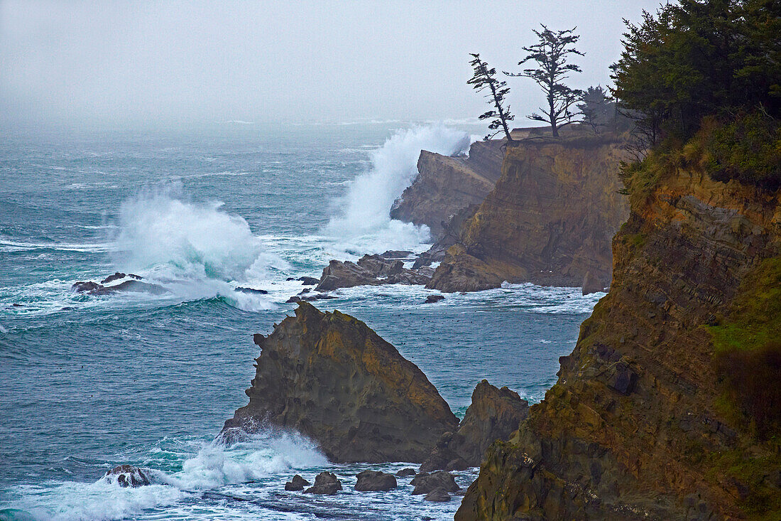 Rock formations and steep coast and waves , Shore Acres State Park , Oregon , USA