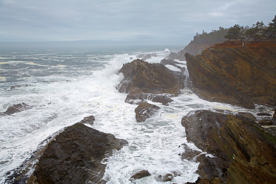 Sea stacks and steep coast and waves , Shore Acres State Park , Oregon , USA
