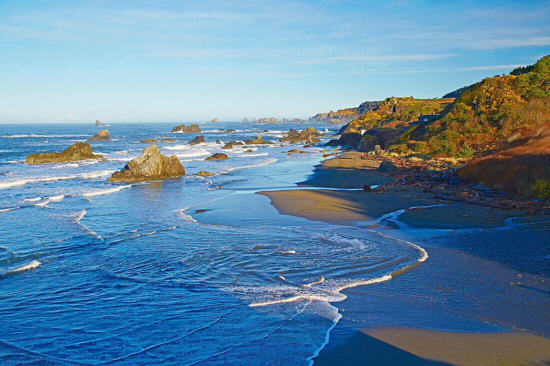 Pacific near Brookings , Harris Beach State Recreation Area , Oregon , USA