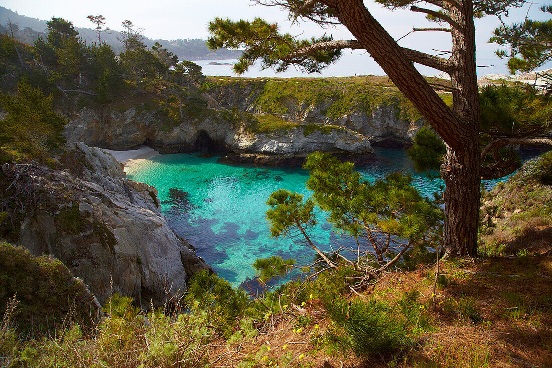 <Point Lobos State Natural Reserve> , Pazifik , Kalifornien , USA