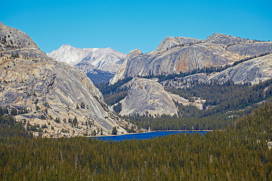 Blick auf den Tenaya Lake , Yosemite National Park , Sierra Nevada , Kalifornien , U.S.A. , Amerika