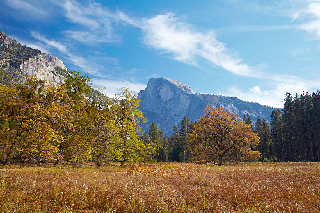Blick über Yosemite Valley zum Half Dome , Yosemite National Park , Sierra Nevada , Kalifornien , U.S.A. , Amerika
