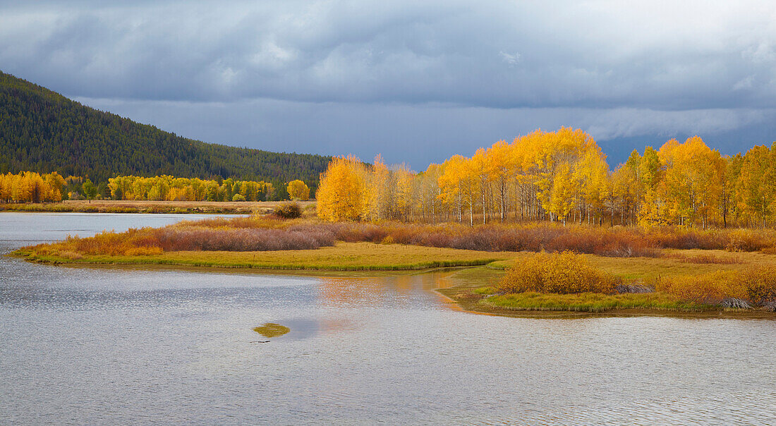 Herbstlaub am Oxbow Bend , Snake River , Grand Teton National Park , Wyoming , U.S.A. , Amerika