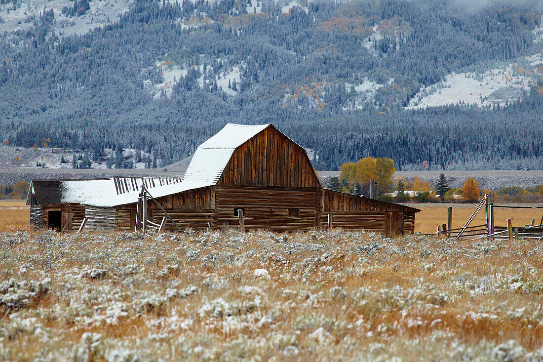 Scheune in den Antelope Flats , Wintereinbruch , Grand Teton National Park , Wyoming , U.S.A. , Amerika