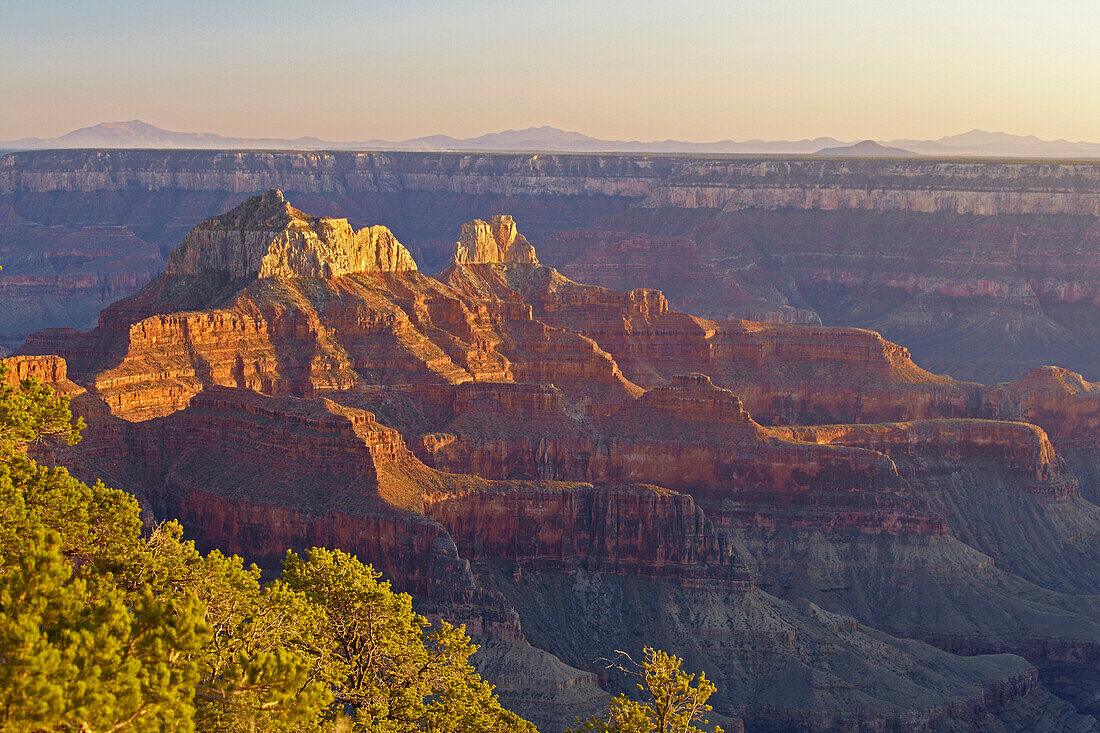 Blick vom Bright Angel Point in den  Bright Angel Canyon , North Rim , Grand Canyon National Park , Arizona , U.S.A. , Amerika