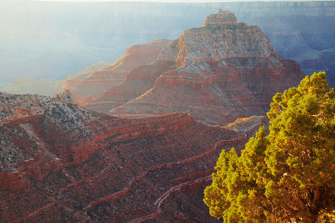 View from Cape Royal at  Vishnu Temple and the South Rim , North Rim , Grand Canyon National Park , Arizona , U.S.A. , America