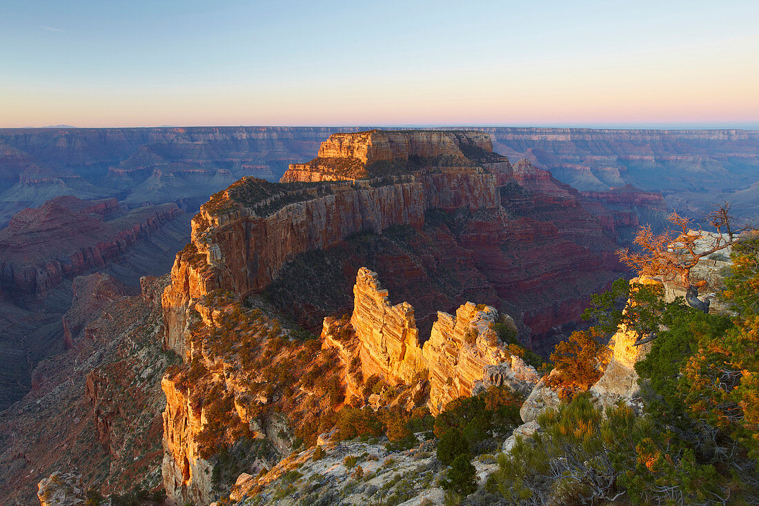 View from Cape Royal at Wotans Throne and the South Rim , North Rim , Grand Canyon National Park , Arizona , U.S.A. , America