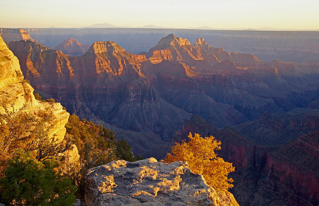 Blick vom Bright Angel Point in den  Bright Angel Canyon , North Rim , Grand Canyon National Park , Arizona , U.S.A. , Amerika