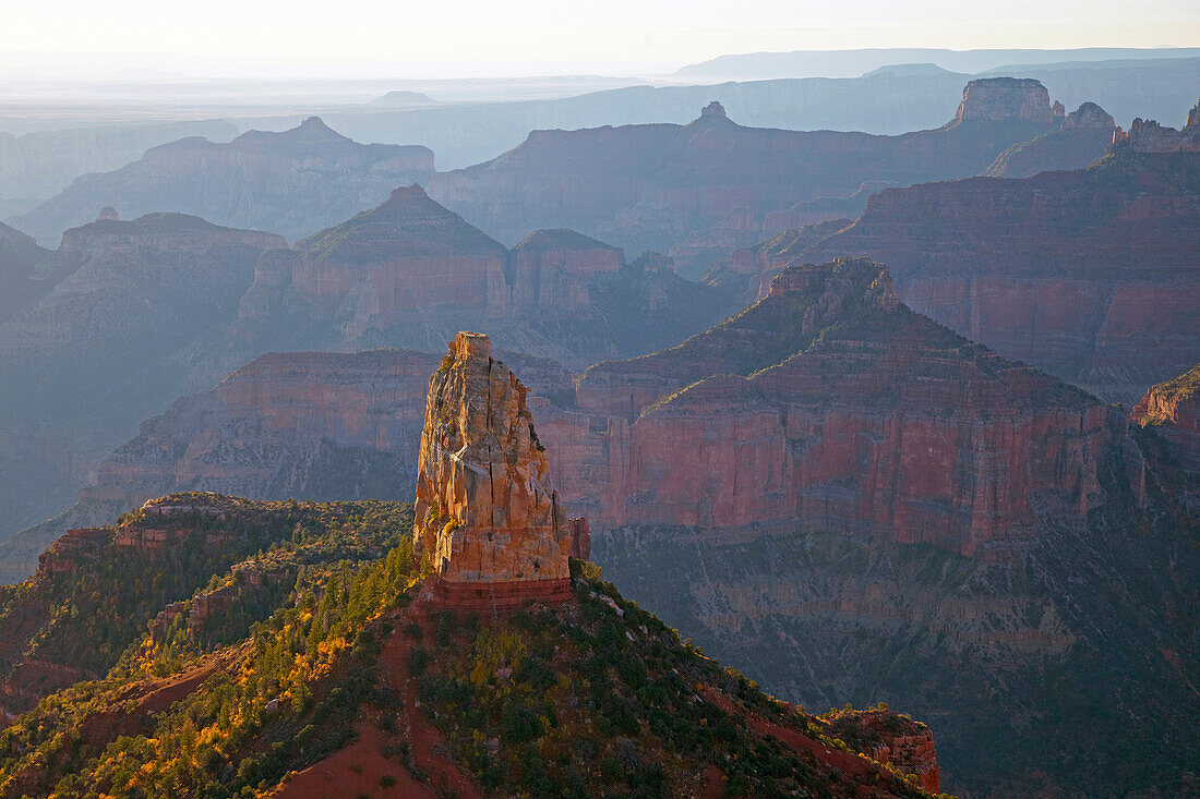 Point Imperial , Mt. Hayden , Grand Canyon National Park , North Rim , Arizona , U.S.A. , America