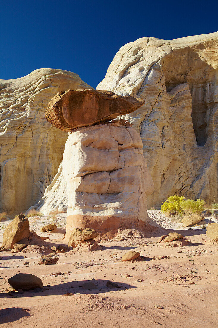 The Toadstools , Grand Staircase Escalante National Monument , Utah , U.S.A. , America
