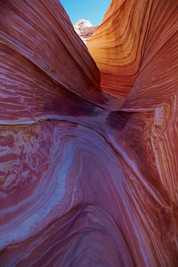 Coyote Buttes North , The Wave , Paria Canyon - Vermillion Cliffs Wilderness , Arizona , U.S.A. , America