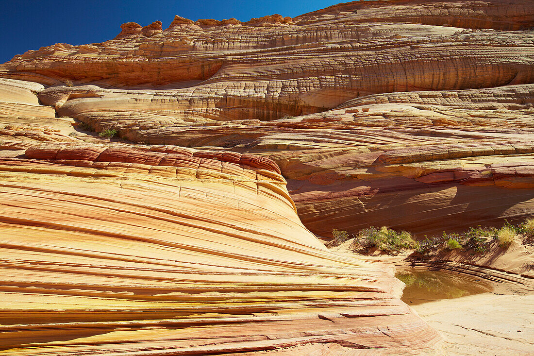 Coyote Buttes North , Nahe <The Wave> , Paria Canyon - Vermillion Cliffs Wilderness , Arizona , U.S.A. , Amerika