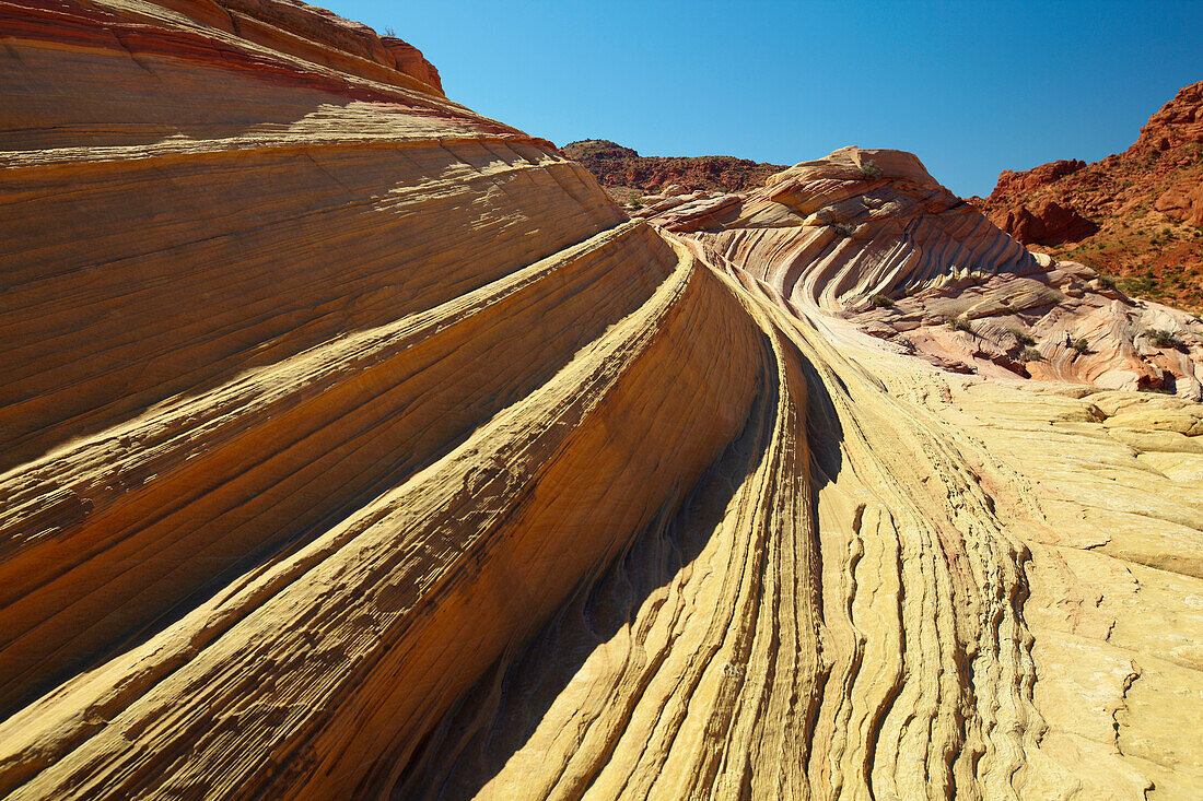 Coyote Buttes North , Nahe <The Wave> , Paria Canyon - Vermillion Cliffs Wilderness , Arizona , U.S.A. , Amerika