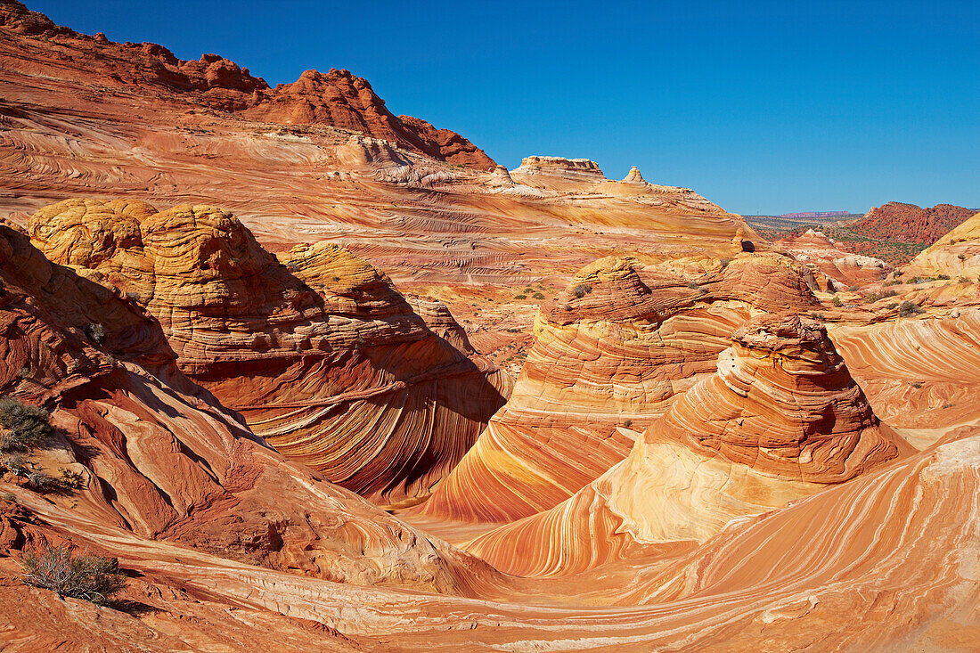 Coyote Buttes North , The Wave , Paria Canyon - Vermillion Cliffs Wilderness , Arizona , U.S.A. , Amerika