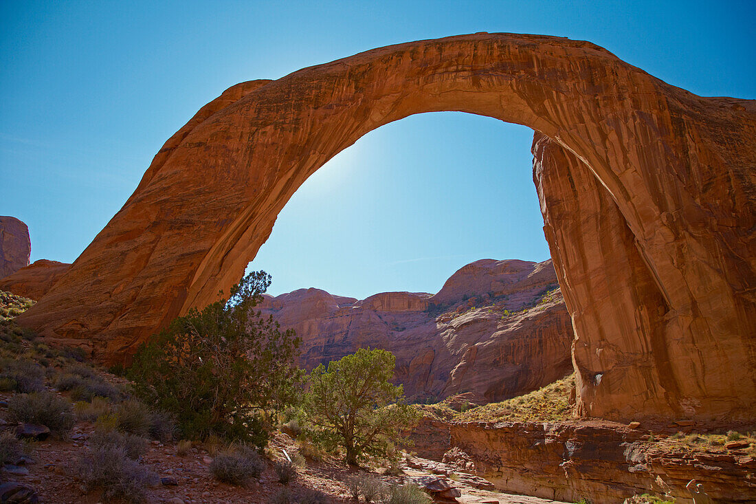 Rainbow Bridge National Monument ,  Lake Powell , Utah , U.S.A. , America