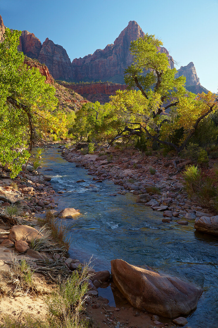 <Watchman> , North Fork Virgin River , Pa' rus Trail , Zion National Park , Utah , Arizona , U.S.A. , America