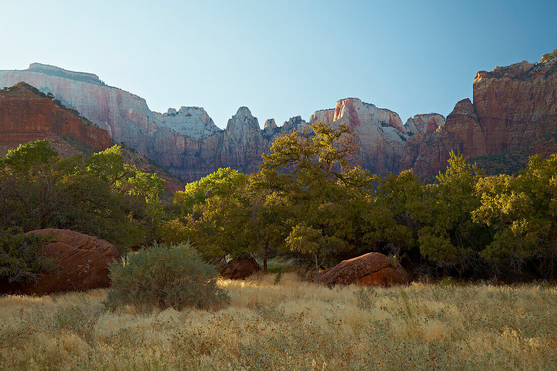 <Towers of the Virgin> , <West Temple> , North Fork Virgin River , Pa' rus Trail , Zion National Park , Utah , Arizona , U.S.A. , America