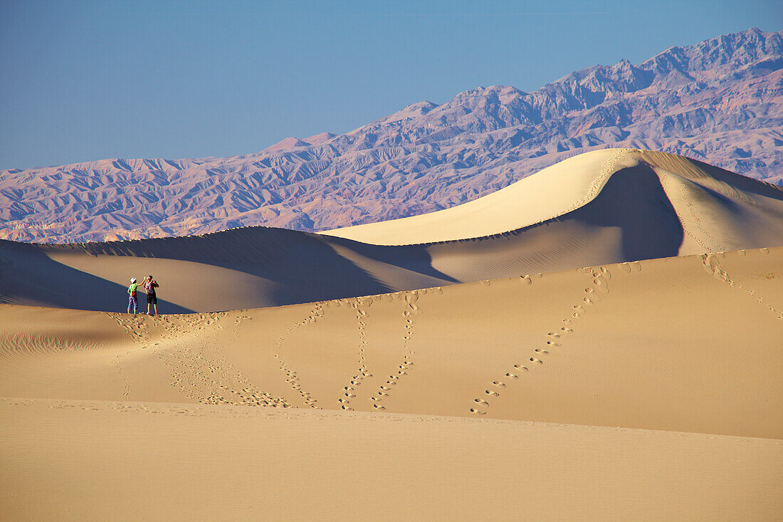 View over Mesquite Flat Sand Dunes at Stovepipe Wells Village towards Amargosa Range , Death Valley National Park , California , U.S.A. , America