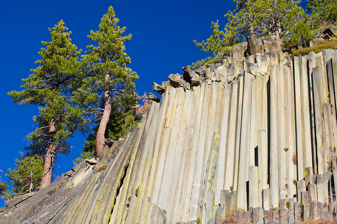 Devils Postpile National Monument , Sierra Nevada , California , U.S.A. , America