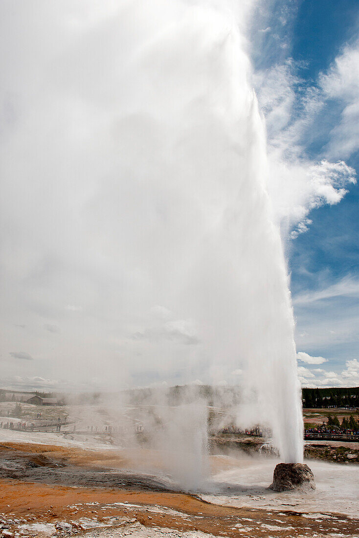 Geyser erupting in Yellowstone National Park, Wyoming, USA