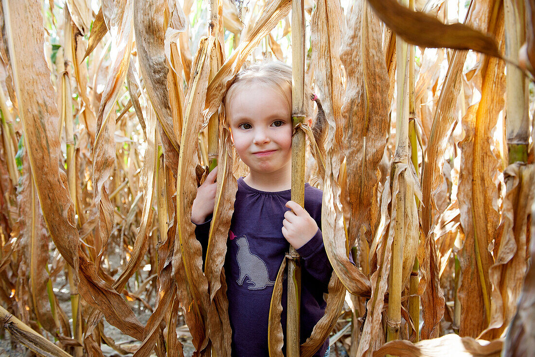 Little girl in cornfield, portrait