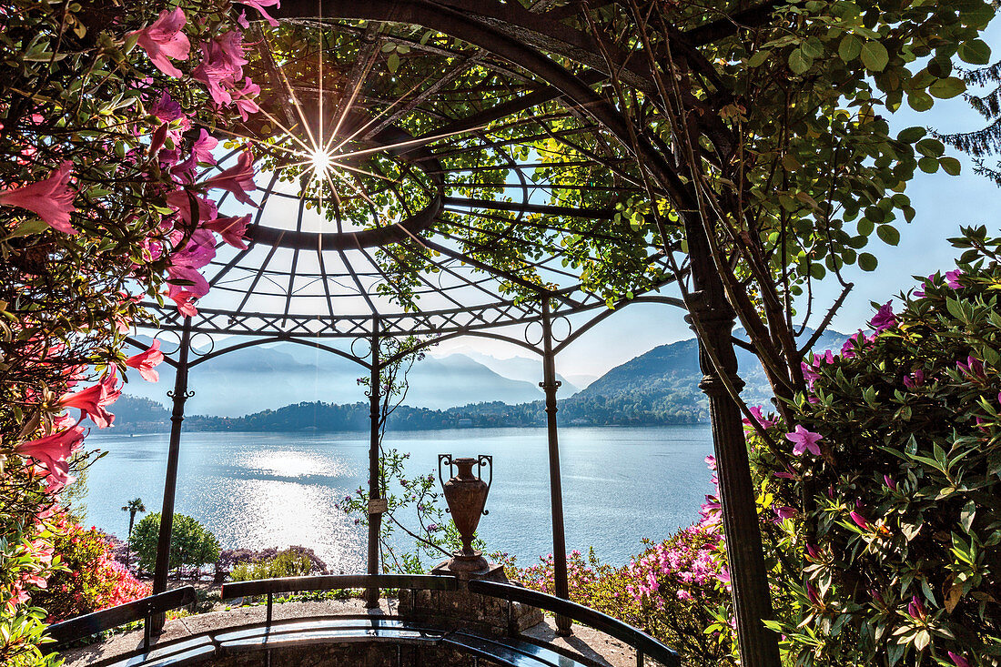 Villa Carlotta, Tremezzo, Como lake, Lombardy, Italy. Details of the villa's garden in bloom.