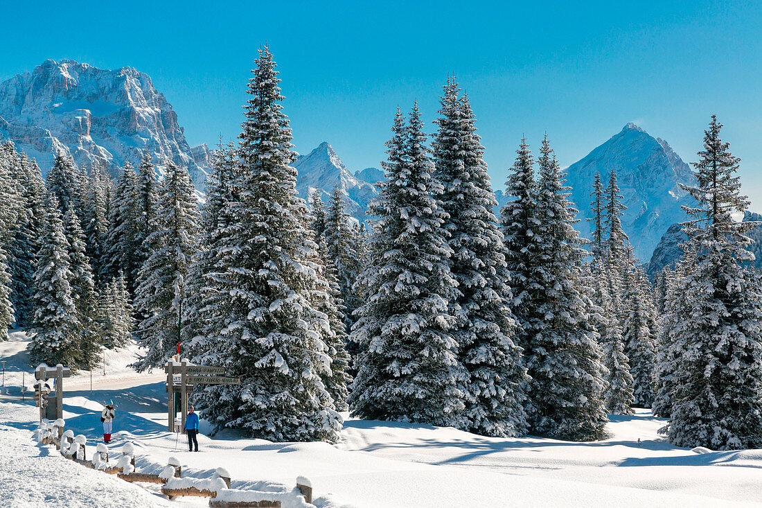 Winter view of Sorapis and Antelao. Passo Falzarego, Veneto, Italy.