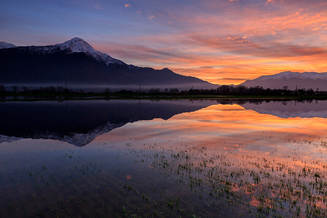 Natural reserve of Pian di Spagna flooded with Mount Legnone reflected in the water at sunset Valtellina Lombardy Italy Europe