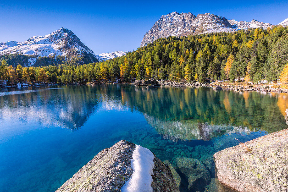 Colorful woods reflected in the blue water of Lake Saoseo Poschiavo Valley Canton of Graub??nden Swizterland Europe