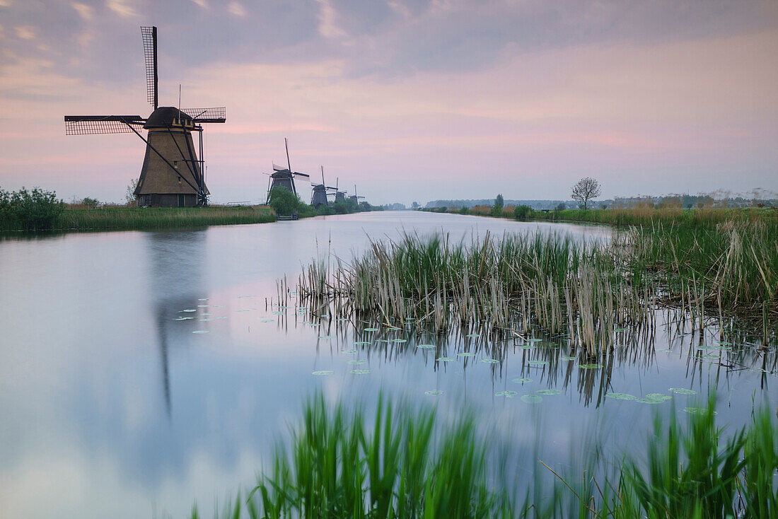 Sky is tinged with purple at dawn on the windmills reflected in the canal Kinderdijk Rotterdam South Holland Netherland Europe