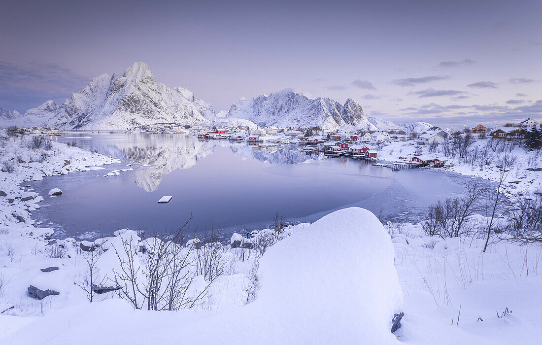 Reine, Lofoten Island, Norway   License Image   71110247 Lookphotos