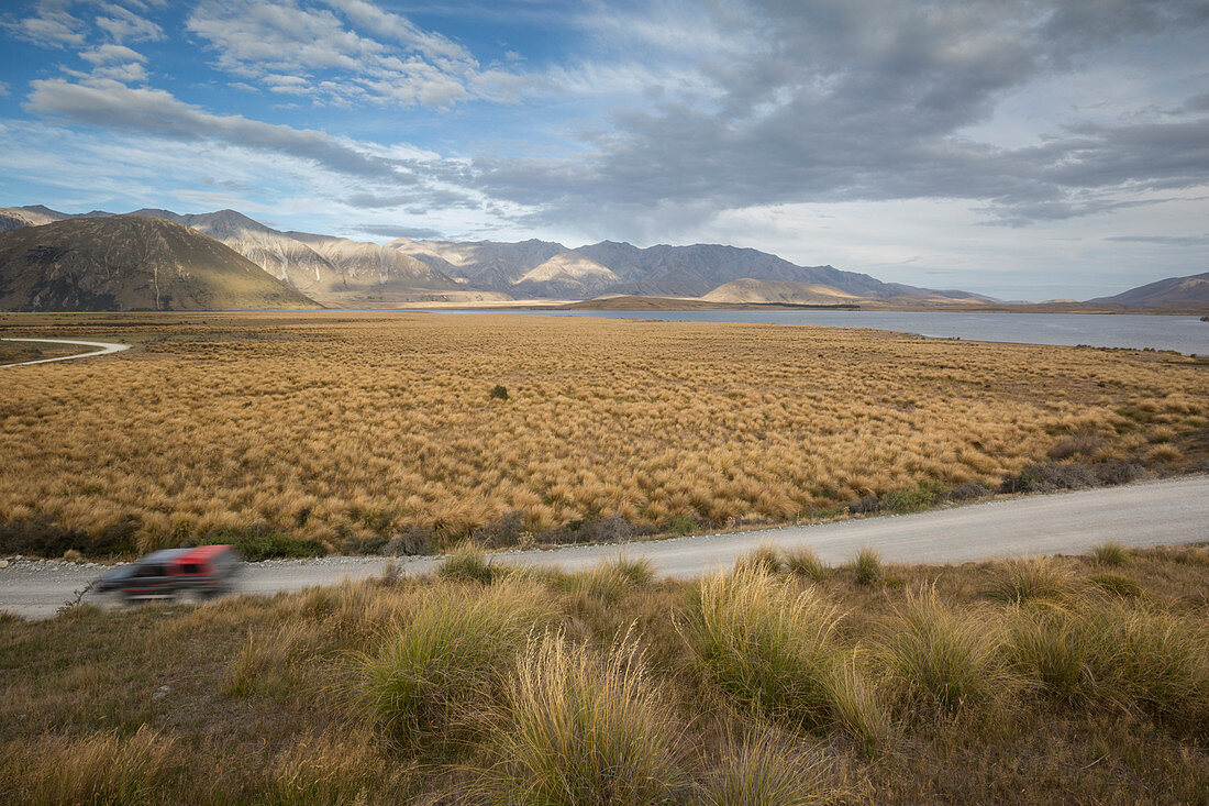 New Zealand, wilde, road