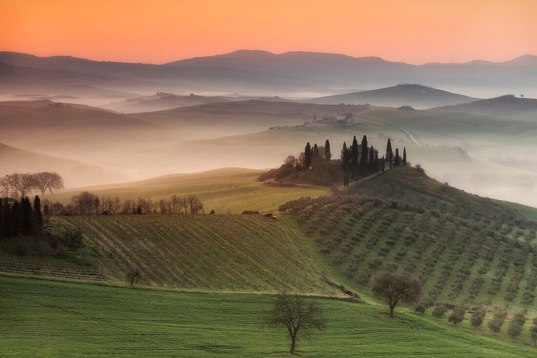 Podere Belvedere, San Quirico d'Orcia, Val d'Orcia, Tuscany, Italy