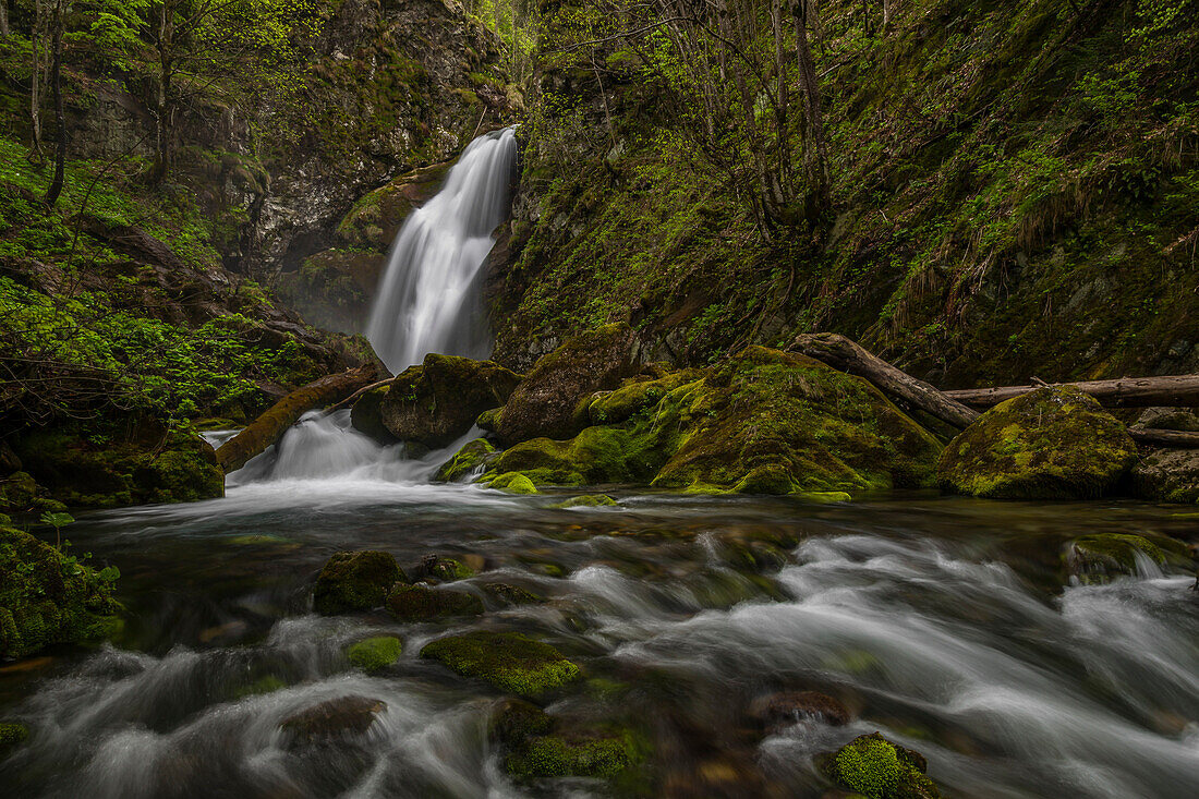 Pesio valley, Marguareis park, Piedmont, Italy. Gias Fontana waterfall