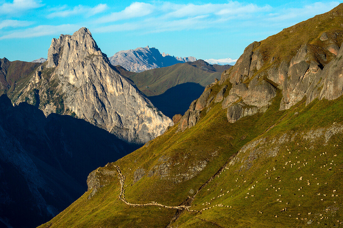 Dolomites, Trentino, Europe, Italy, Fassa valley. Autumn pasture