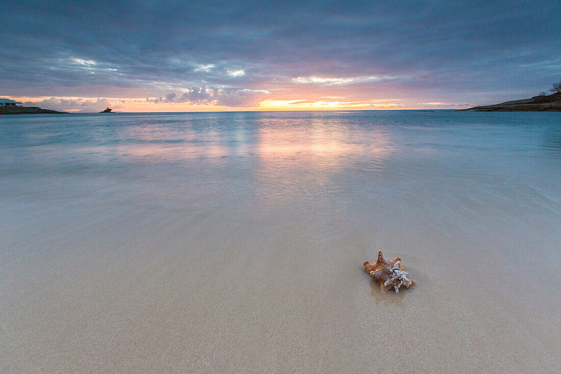 A seashell on the sand framed by the colors of Caribbean sunset Hawksbill Bay Antigua and Barbuda Leeward Islands West Indies
