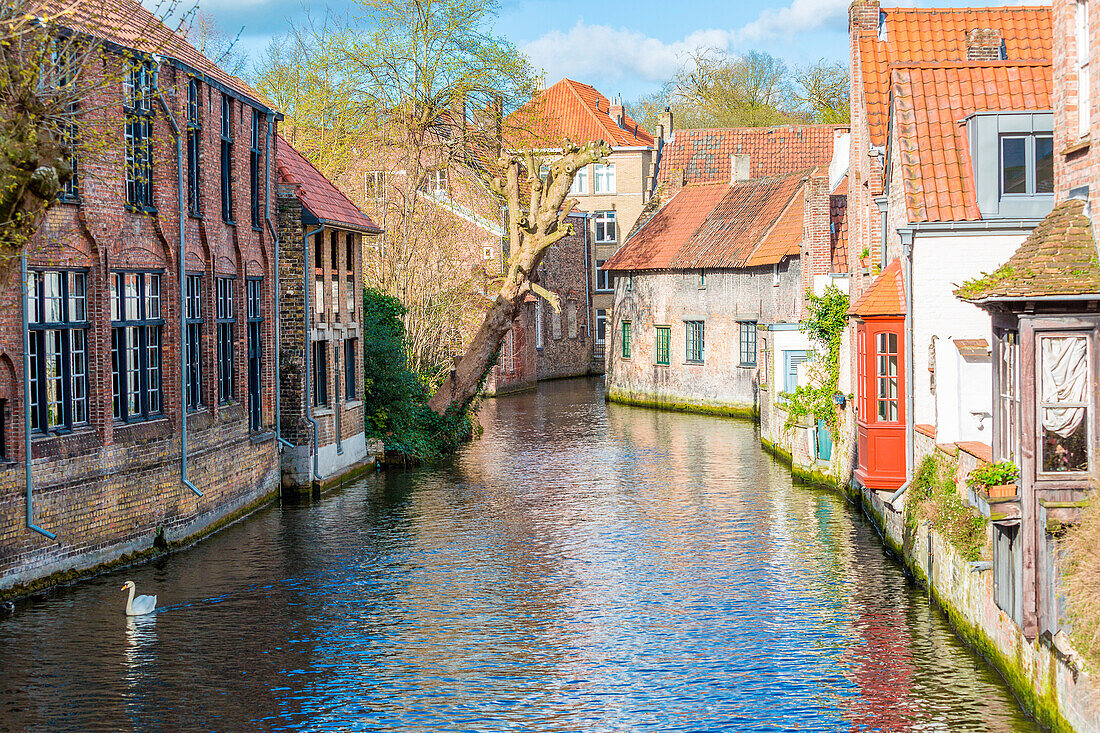 Houses and canals in Bruges, Belgium, Europe