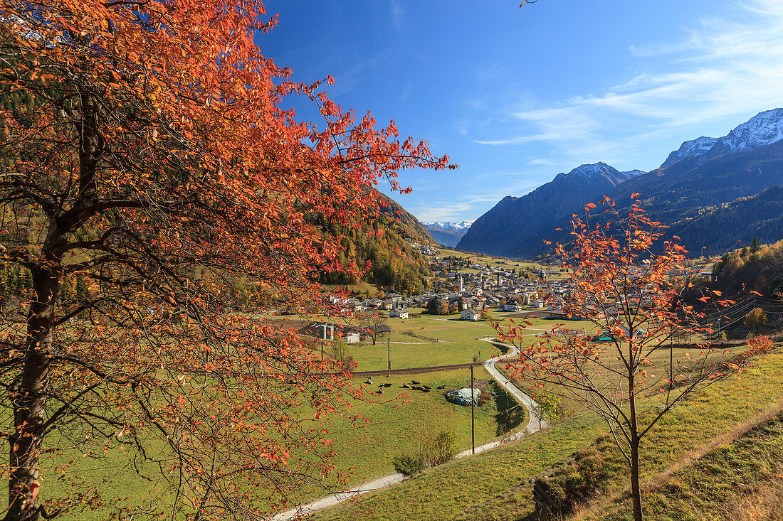 Autumn colors light up Poschiavo Valley Canton of Graub??nden Switzerland Europe