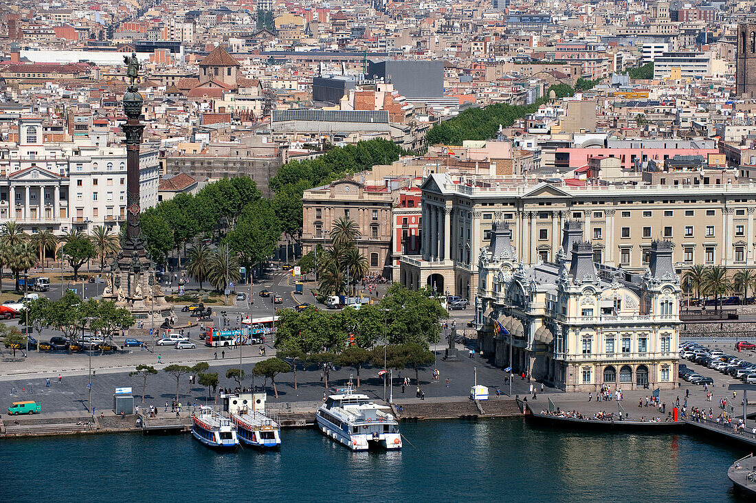 Spain, Catalonia, Barcelona, Christopher Columbus Monument in the Gotico District (Barri Gotic) and Ramblas trees