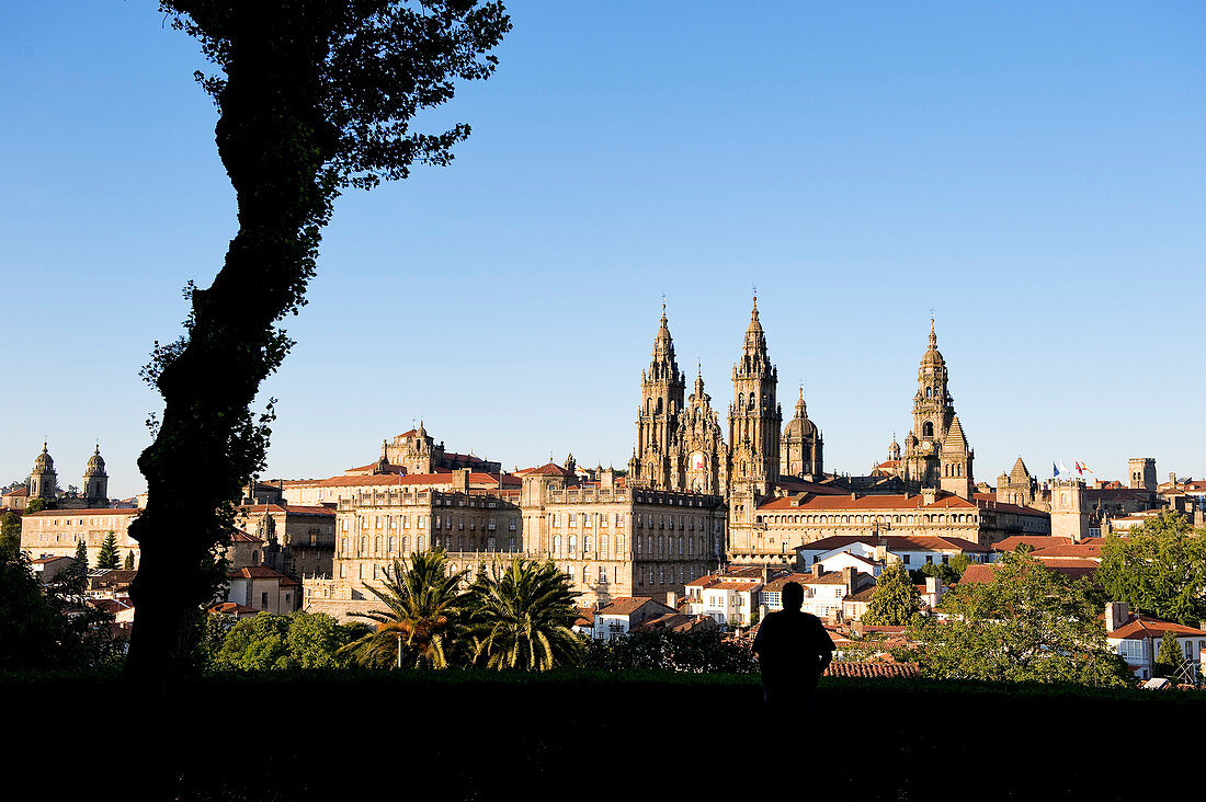 Spain, Galicia, Santiago de Compostela, listed as World Heritage by UNESCO, the cathedral and the historical centre